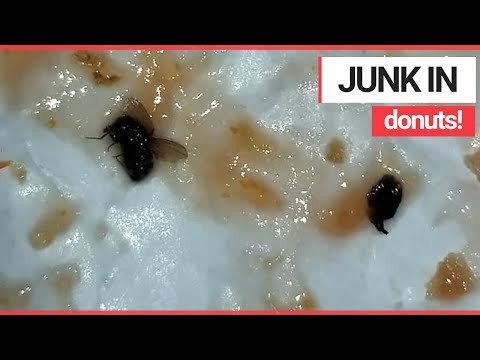 Mum finds BUGS in Dunkin' Donuts Sandwich! | SWNS TV
