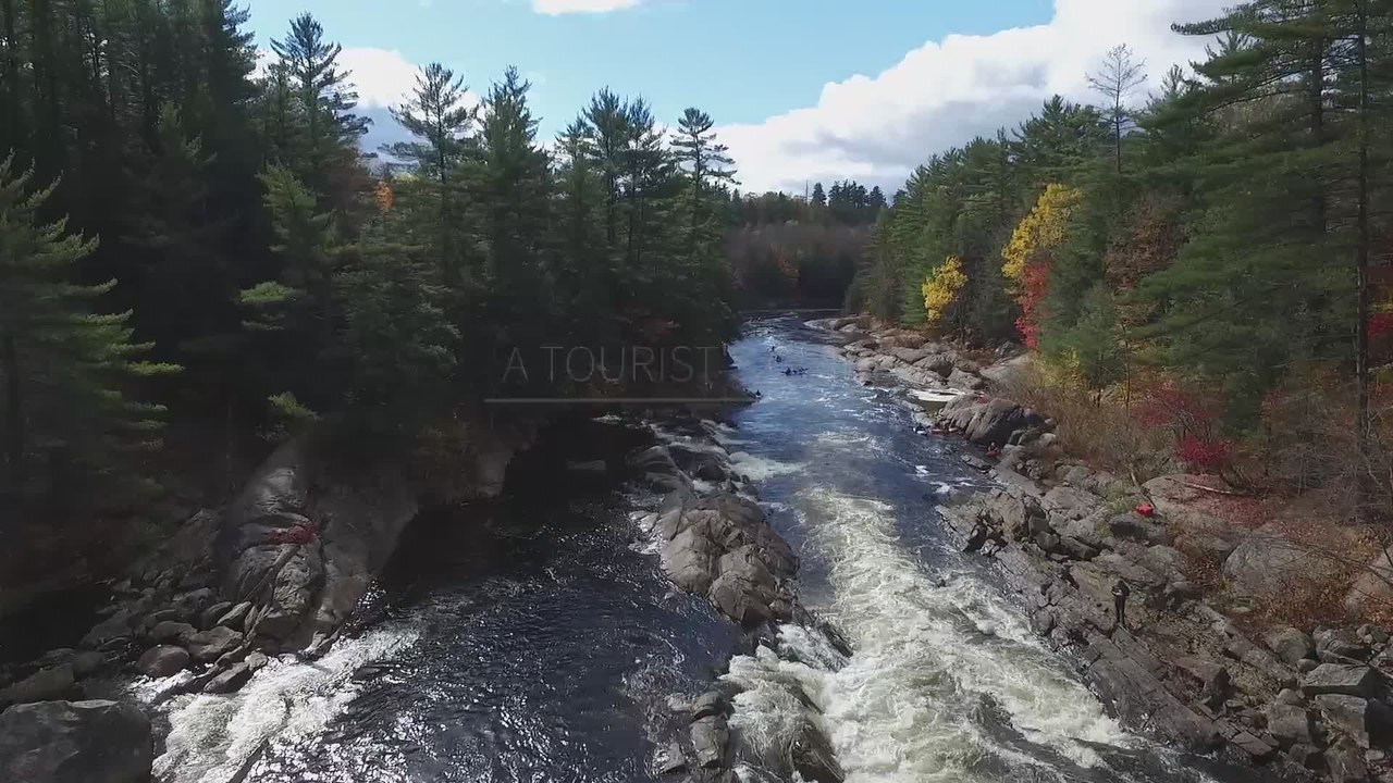 The Magic of Moose Fest