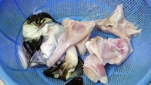 Japanese Street Food - LIVE FUGU PUFFERFISH Puffer Fish Japan