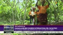 Nicaragua recibe al Congreso Internacional del Cacao Fino