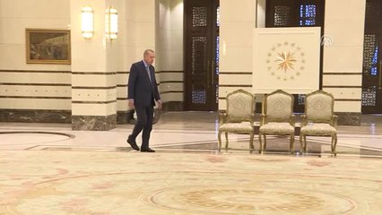 İsveç Büyükelçisi Hellgren, Cumhurbaşkanı Erdoğan'a Güven Mektubu Sundu