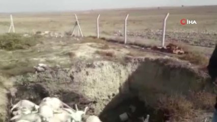 150 Keçinin Telef Olduğu Çiftliğin Sahibi Fetö Firarisi İş Adamı Çıktı