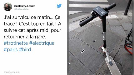 Le gouvernement va interdire aux trottinettes électriques de circuler sur les trottoirs.