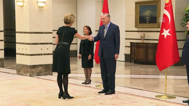 İsveç Büyükelçisi Hellgren, Cumhurbaşkanı Erdoğan'a güven mektubu sundu - ANKARA