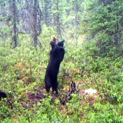 I like the way you move 