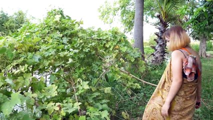 My Sister use Winter Melon Face Mask for Skin Whitening Easy on The Tree