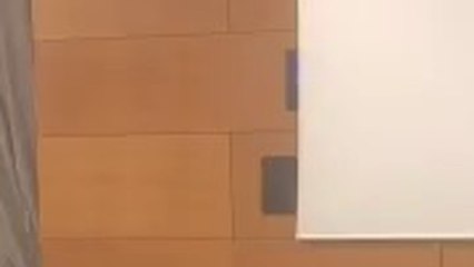 Un eurodiputado italiano pisotea los papeles de Moscovici