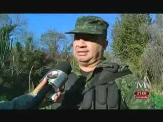 Se erradican 80 cultivos de mariguana cada día en Sinaloa: Ejército