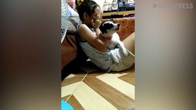 Loyal Puppy Protects Owner From Angry Father
