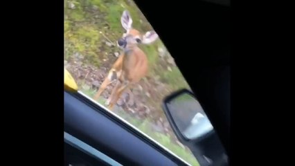 are we going to 'cancel' brother nature? or...