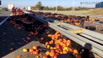 Thousands Of Halloween Pumpkins Spill Onto Road