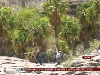 Península de Baja California: un lugar donde el desierto se une con el mar