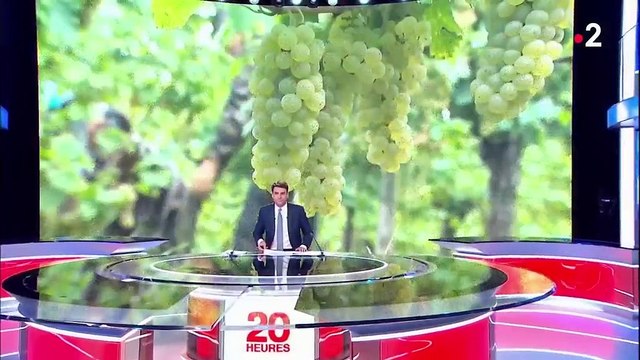 Travailleurs saisonniers : le maintien des exonérations