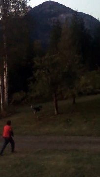 Scalpé par un grizzly cet homme se défend avec un fusil !