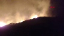Muğla Bodrum'da Makilik Alanda Yangın