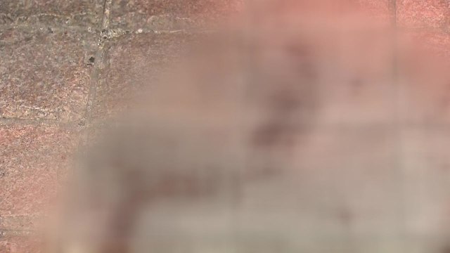 조현병 전력 50대, 행인에게 흉기 휘둘러 / YTN