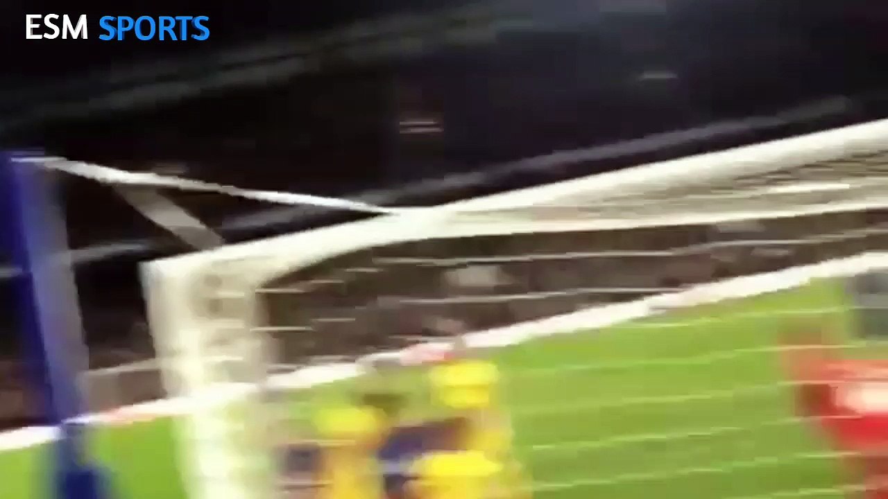 Chelsea vs Bate  3-1 All Goals & Highlights