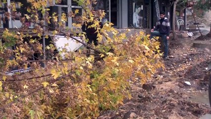 Muş'ta yağmur ve şiddetli rüzgar