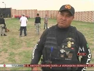 Un perro, "más que un ángel guardián: dan la vida por nosotros"