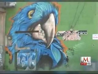 5 muertos y 15 heridos tras balacera en Blue Parrot