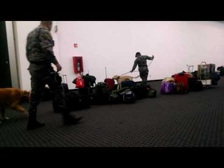 Seguridad en la zona de camping de Campus Party 2016