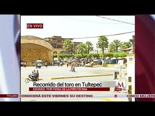 Preparan el recorrido del Toro para celebrar la Feria nacional de la Pirotecnia