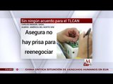 SRE reitera que no se ha negociado el TLC con EU