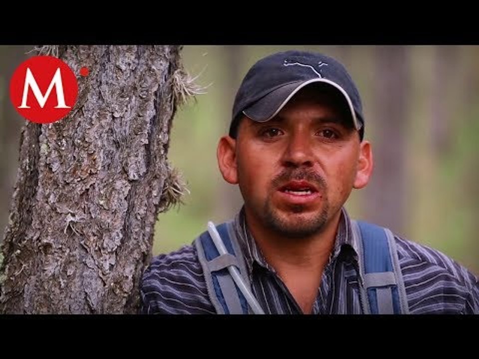 Monarca, El Espíritu del Bosque Capítulo 4: Cumbres de Monterrey, vuelo entre montañas
