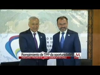 Luis Videgaray: Salida de EU de TPP da oportunidades entre países del pacífico