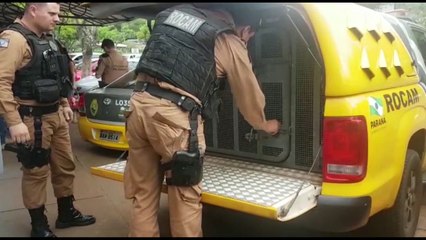 PM detém homem acusado de estelionato