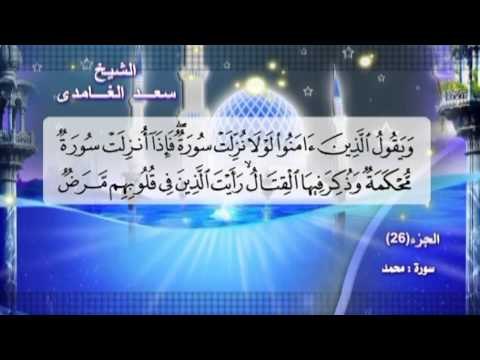 سورة محمد صوت الشيخ سعد الغامدى مع المعانى