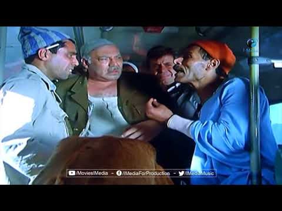 آنت عارف انت بتكلم مين ده عجل السيد البدوى