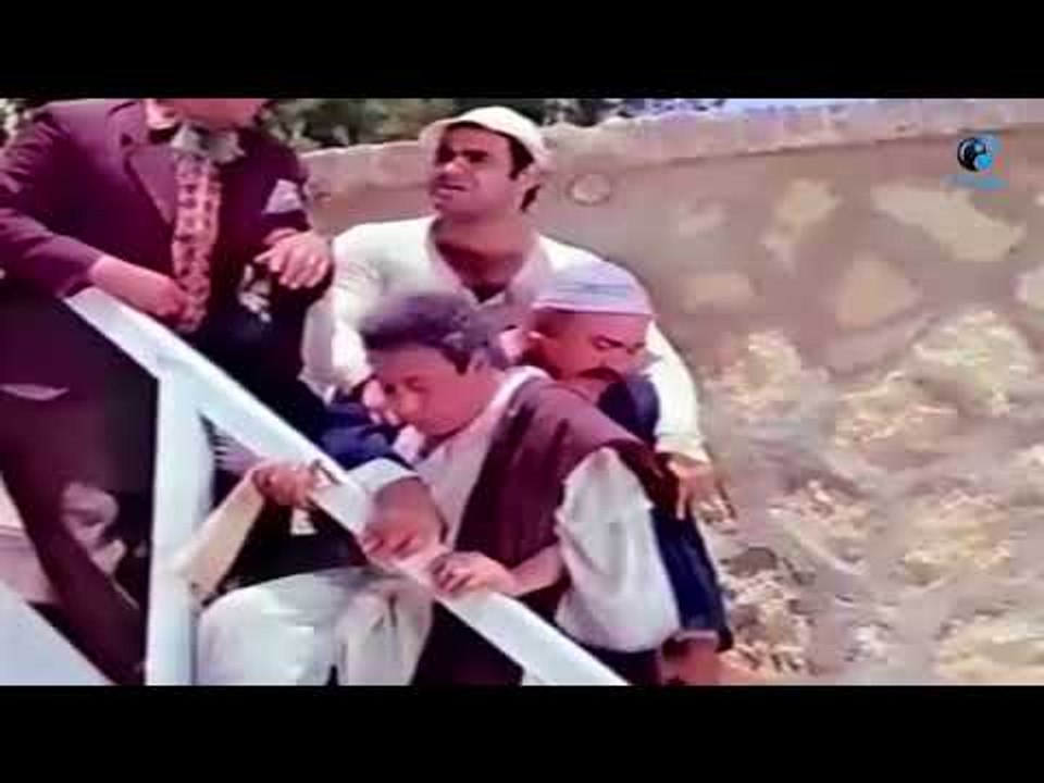 الكلب  وقع  عماشه فى حمام  السباحه