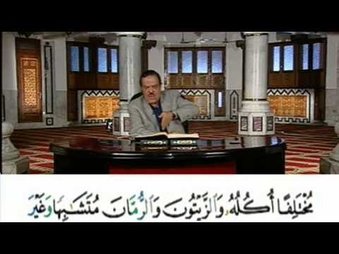 برنامج بلغوا عنى ولو اية - سورة الانعام - من الاية 140 الى الاية 142