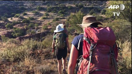 L’Afrique du Sud, nouveau paradis des chasseurs de dinosaures