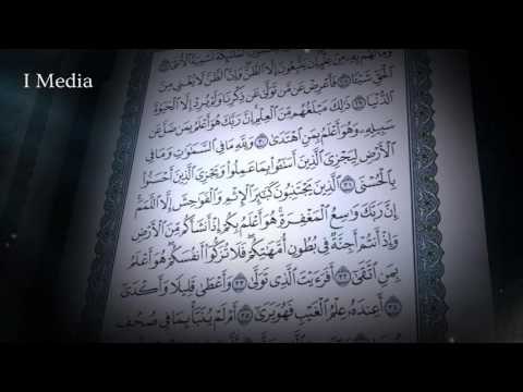 القران الكريم بصوت القارئ الشيخ ماهر المعيقلى - سورة النجم