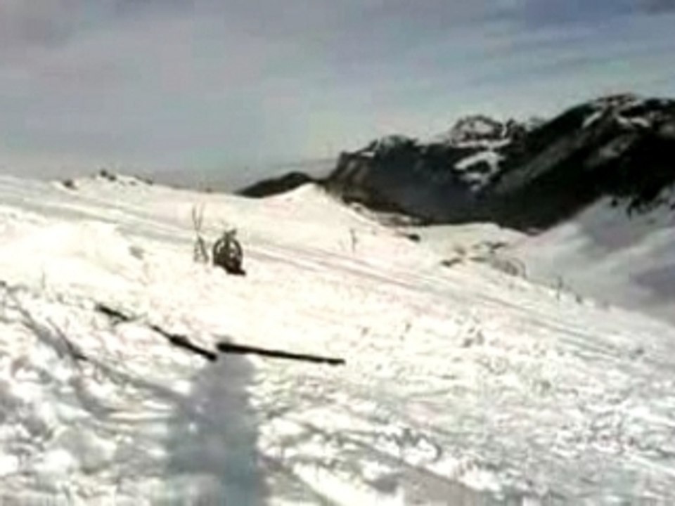 back flip