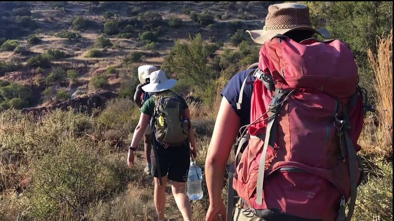 جنوب إفريقيا جنة جديدة للباحثين عن ديناصورات متحجرة