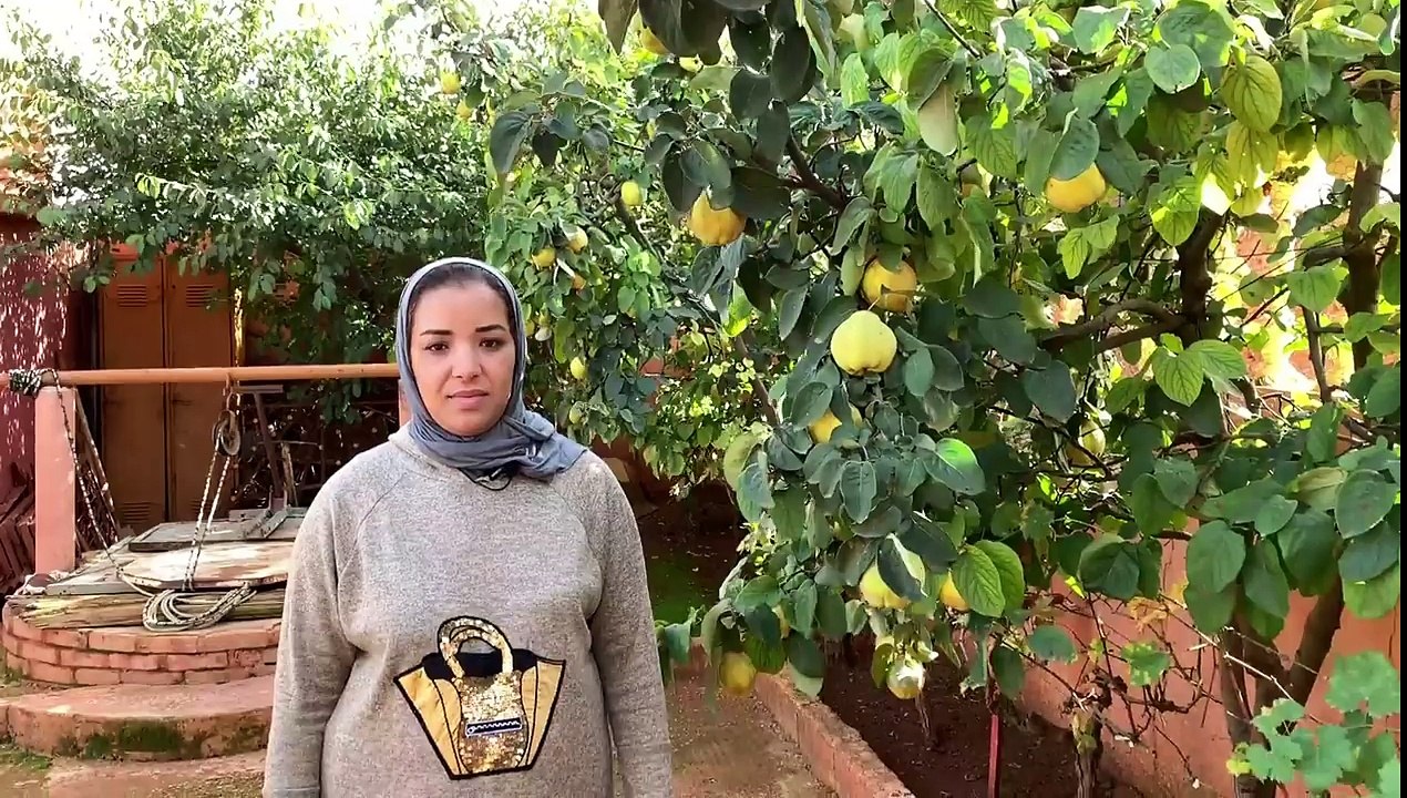 تناولو الخضر في غير موسمها بطريقة لالة فاضمة