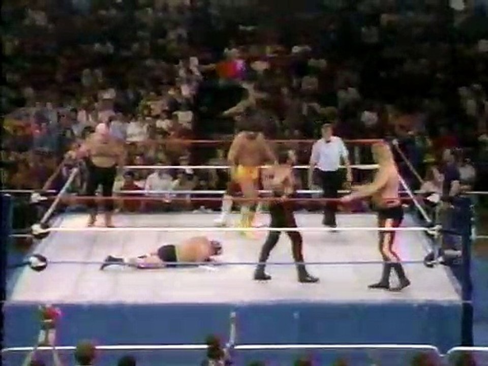 WWF Superstars 01 10 1987