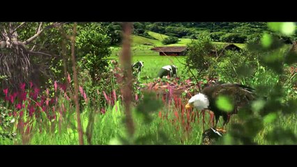 Скачать видео: ژانر علمی تخیلی - ژانر علمی تخیلی در سینما - ژانر علمی تخیلی در سینمای ایران - جلوه های ویژه - جلوه های ویژه در سینمای ایران  - جلوه های ویژه سینمایی - جلوه های بصری  Iran vfx - Iran Sci Fi films - Dubai VFX- Hollywood VFX - Bollywood VFX