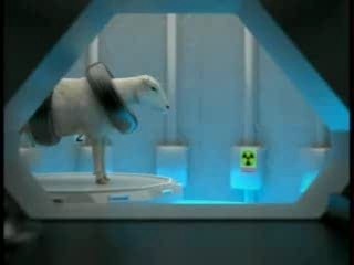 PUB POINT S  pub 2007