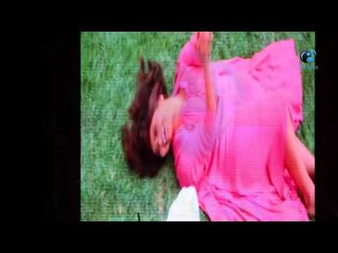 حفل شيرين في جامعة مصر عيد الحب | شاهد رد فعل الحاضرين فى الحفل عند عرض صور من كليبات شيرين!