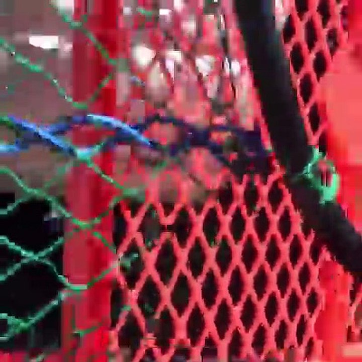 The end will make you so happy!!!!!Credit: Hope For Paws , hopeforpaws.org