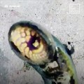 This lamprey that was discovered off the pier in Port Hope, Canada will haunt your nightmares 