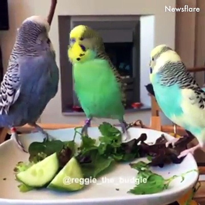 Love of animals is adorable ❤️