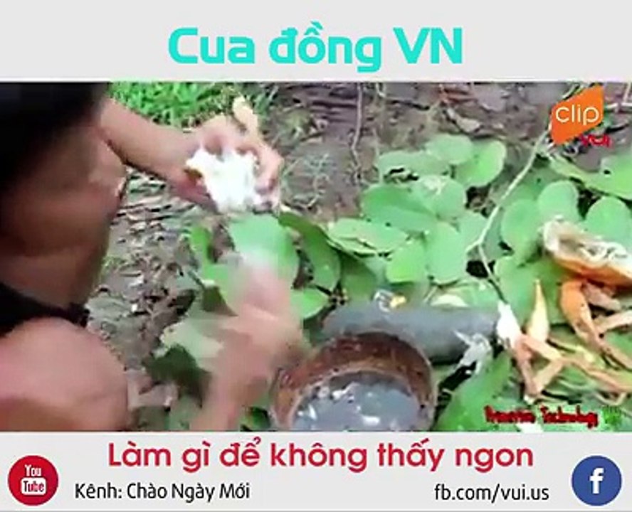 Cua đồng VN mà như cua biển hoàng đế