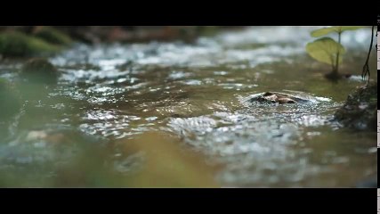 마산출장마사지{카톡SZX77} [Ø7ØX7575XØØ77]【20대에이스】마산출마산마 마산출마산마 출마산마코스 마산출마산마 마산출장마사지-황제 마산출장마사지- 마산콜걸.