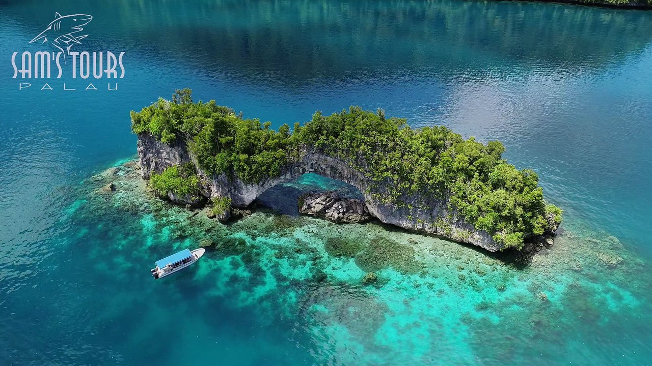 PALAU avec Sam's Dive Tours