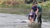 Asi Nehri'nde Kaybolan Çocuğun Cesedi Bulundu